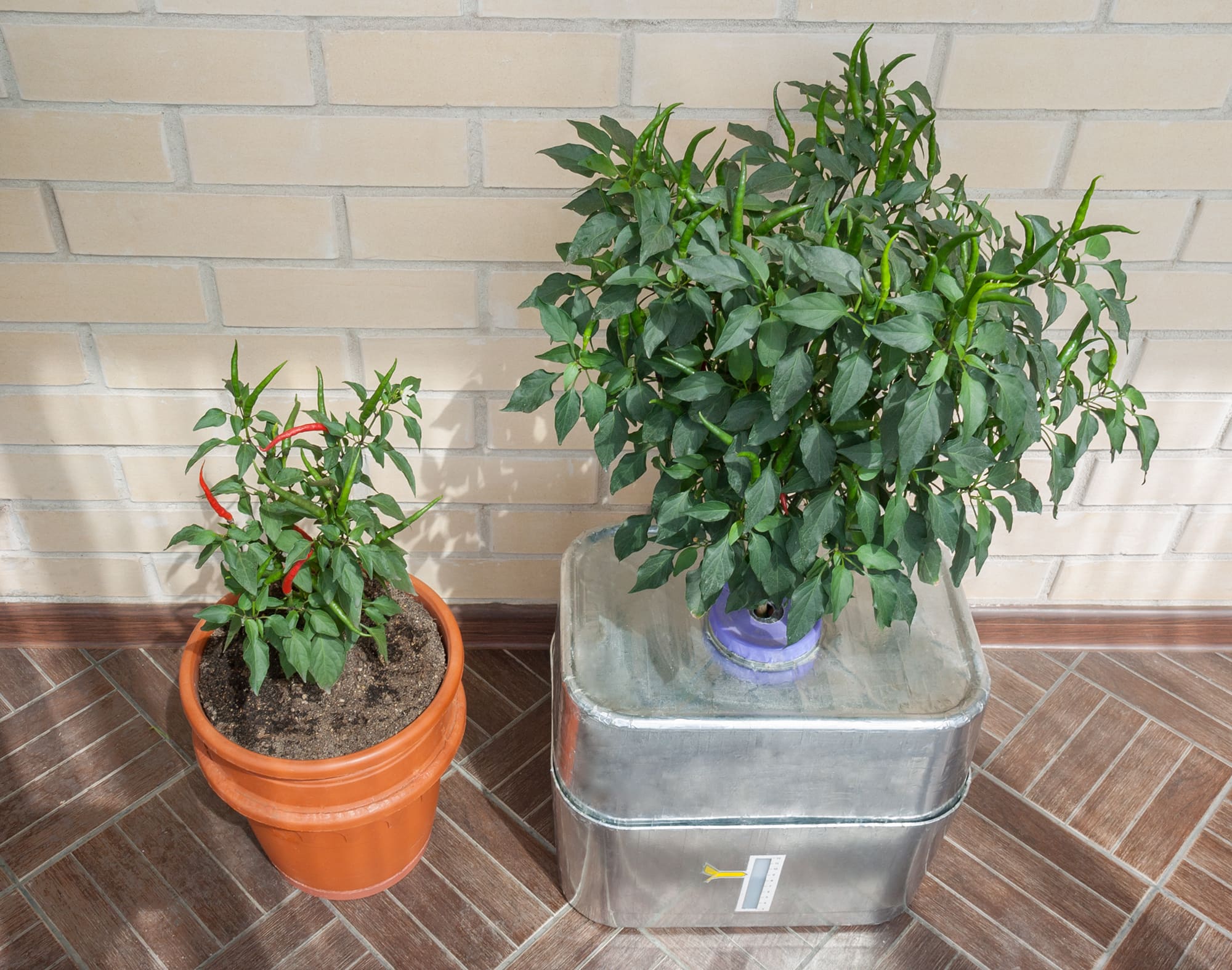 Гидропонная система AquaPot XL на одно растение.